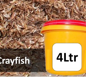 Crayfish in 4 Litre