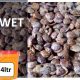 Locust-bean-4ltr-wet