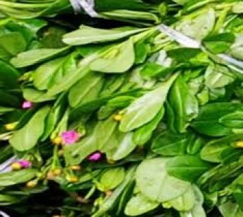 Water leaf – Gbure