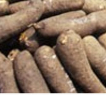 yam (Benue, Abuja) (25kg)