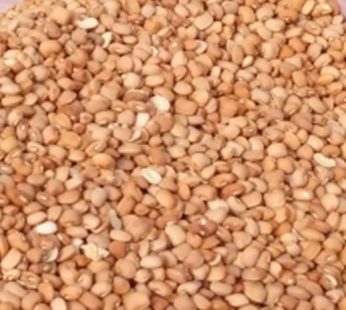 Beans (Oloyin) Bajara 5kg